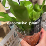 ヒメ日記 2025/06/16 18:09 投稿 柿本 ほまれ 一夜妻