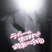 ヒメ日記 2025/06/22 19:09 投稿 柿本 ほまれ 一夜妻