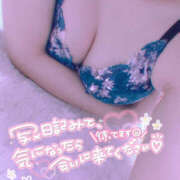 ヒメ日記 2025/08/14 17:09 投稿 柿本 ほまれ 一夜妻