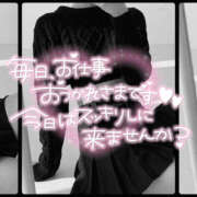 ヒメ日記 2025/10/08 17:09 投稿 柿本 ほまれ 一夜妻