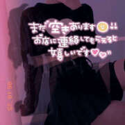 ヒメ日記 2025/10/28 14:19 投稿 柿本 ほまれ 一夜妻