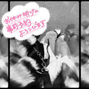 ヒメ日記 2025/11/06 14:09 投稿 柿本 ほまれ 一夜妻