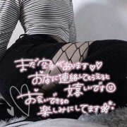 ヒメ日記 2025/11/08 16:59 投稿 柿本 ほまれ 一夜妻