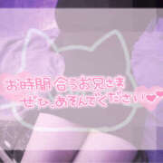 ヒメ日記 2025/11/23 13:09 投稿 柿本 ほまれ 一夜妻