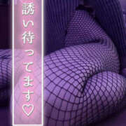 ヒメ日記 2025/11/24 17:09 投稿 柿本 ほまれ 一夜妻