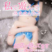 ヒメ日記 2026/01/13 15:09 投稿 柿本 ほまれ 一夜妻