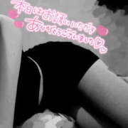 ヒメ日記 2026/01/17 21:49 投稿 柿本 ほまれ 一夜妻