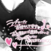 ヒメ日記 2026/04/17 18:09 投稿 柿本 ほまれ 一夜妻