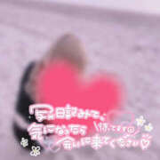 ヒメ日記 2026/10/03 16:01 投稿 柿本 ほまれ 一夜妻