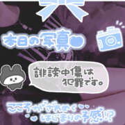 ヒメ日記 2026/10/07 13:03 投稿 柿本 ほまれ 一夜妻