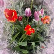 ヒメ日記 2025/04/21 14:27 投稿 あき 池袋あられ