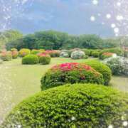 ヒメ日記 2025/04/29 17:28 投稿 あき 池袋あられ