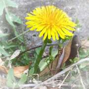 ヒメ日記 2025/03/23 16:49 投稿 あるえ 池袋あられ