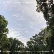 あるえ あるえです🐹 池袋あられ