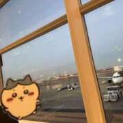 ヒメ日記 2025/04/01 12:17 投稿 いの ベイキュート