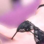 ヒメ日記 2025/07/03 22:22 投稿 いの ベイキュート