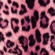 ヒメ日記 2025/12/01 17:19 投稿 りな 渋谷じゃっくす