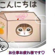 ヒメ日記 2025/02/14 12:56 投稿 あかね 汁婆クラブ