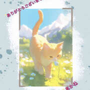 ヒメ日記 2025/03/08 22:18 投稿 あかね 汁婆クラブ