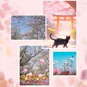 ヒメ日記 2025/04/06 19:06 投稿 あかね 汁婆クラブ