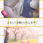 ヒメ日記 2025/04/07 10:48 投稿 あかね 汁婆クラブ