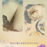 ヒメ日記 2025/04/11 10:48 投稿 あかね 汁婆クラブ