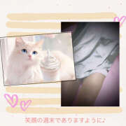 ヒメ日記 2025/04/12 07:18 投稿 あかね 汁婆クラブ