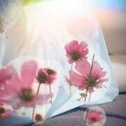 ヒメ日記 2025/05/21 10:58 投稿 あかね 汁婆クラブ