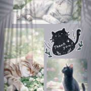 ヒメ日記 2025/06/02 21:34 投稿 あかね 汁婆クラブ