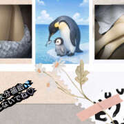 ヒメ日記 2025/06/19 07:54 投稿 あかね 汁婆クラブ