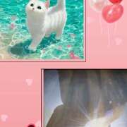 ヒメ日記 2025/07/04 10:48 投稿 あかね 汁婆クラブ