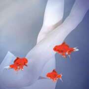 ヒメ日記 2025/07/21 21:44 投稿 あかね 汁婆クラブ