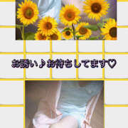 ヒメ日記 2025/08/11 09:56 投稿 あかね 汁婆クラブ