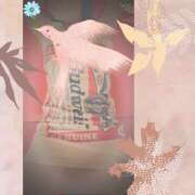 ヒメ日記 2025/09/17 16:02 投稿 あかね 汁婆クラブ