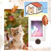 ヒメ日記 2025/10/03 10:36 投稿 あかね 汁婆クラブ