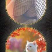 ヒメ日記 2025/11/07 10:12 投稿 あかね 汁婆クラブ