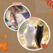 ヒメ日記 2025/11/21 10:08 投稿 あかね 汁婆クラブ