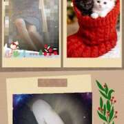 ヒメ日記 2025/12/15 07:54 投稿 あかね 汁婆クラブ