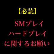 ヒメ日記 2024/11/22 11:47 投稿 ひる バニー東京