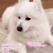 ヒメ日記 2025/04/26 20:44 投稿 あすな あふたーすくーる本店