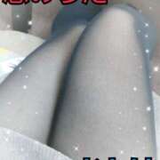 ヒメ日記 2025/03/03 17:44 投稿 おとは 恋のうた