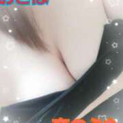 ヒメ日記 2025/03/17 20:49 投稿 おとは 恋のうた