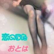 ヒメ日記 2026/03/14 17:12 投稿 おとは 恋のうた