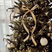 ヒメ日記 2024/12/11 07:43 投稿 りょう 倶楽部愛