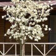 ヒメ日記 2025/02/02 07:37 投稿 りょう 倶楽部愛