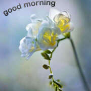 ヒメ日記 2025/02/19 07:52 投稿 りょう 倶楽部愛