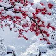 ヒメ日記 2025/02/25 07:23 投稿 りょう 倶楽部愛