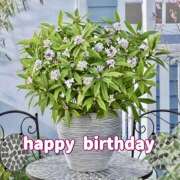 ヒメ日記 2025/03/03 07:10 投稿 りょう 倶楽部愛