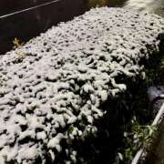 ヒメ日記 2025/03/05 07:02 投稿 りょう 倶楽部愛