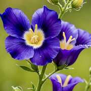 ヒメ日記 2025/03/06 07:32 投稿 りょう 倶楽部愛